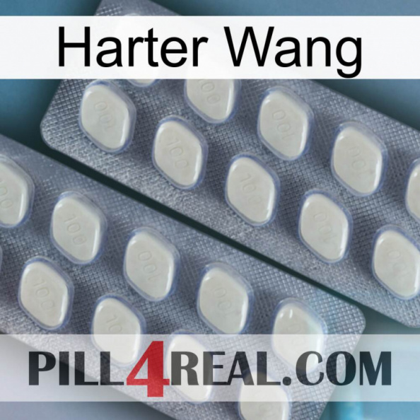 Hard Wang 07